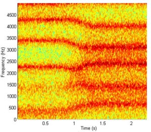 Vowel Transition Spectrogram