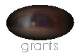 Click to see list of recent grants