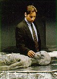 [Mulder]