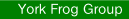 York Frog Group.