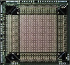 Evolvable Field Programmable Transistor Array