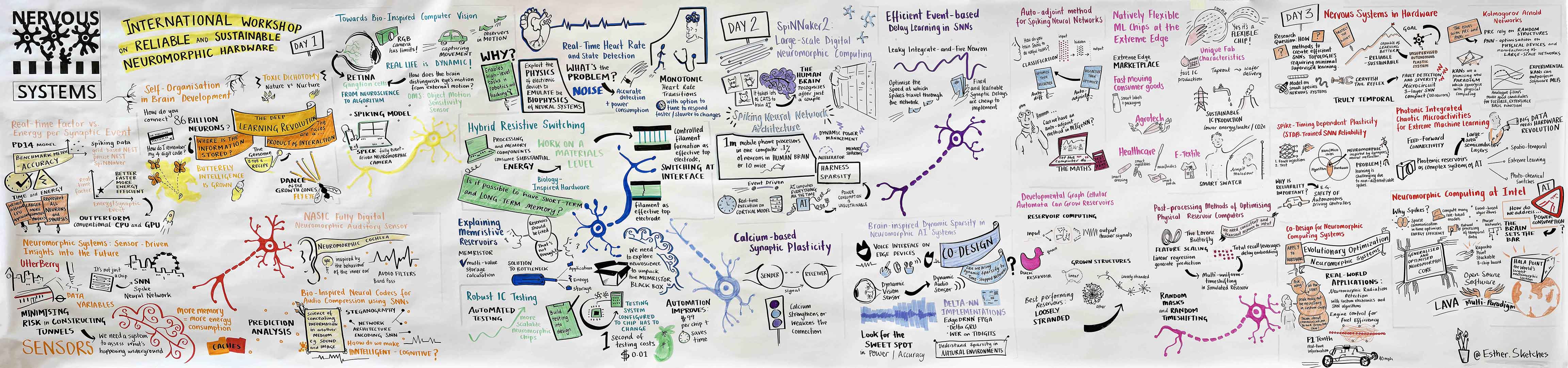 Workshop Live Illustration
