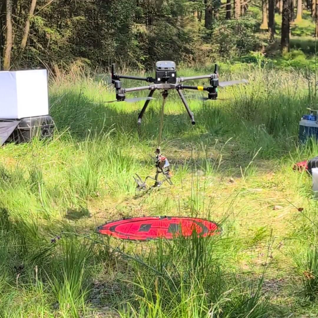 ARISE drone reintroducing ecosystem-engineering ant colonies in woodland (video)