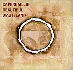 [Beautiful Wasteland]