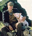 [One Man and His Pig]