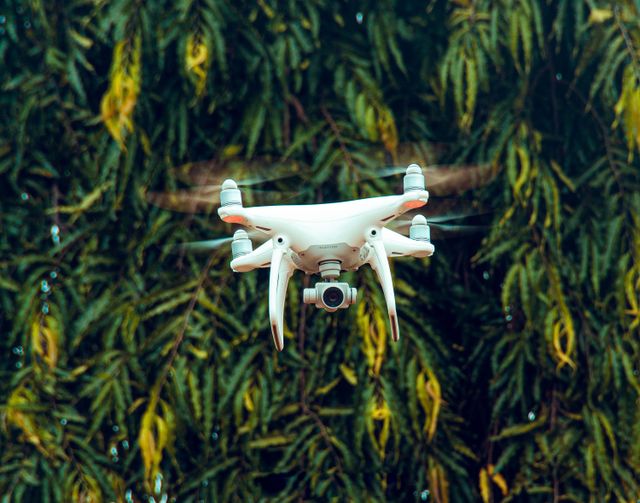 Image of UAV inspecting conifers