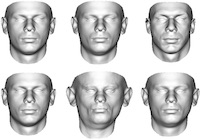 What Does 2D Geometric Information Really Tell Us About 3D Face Shape ...