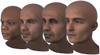 Towards a complete 3D morphable model of the human head | WILL SMITH